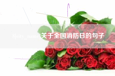 平顶山关于全国消防日的句子