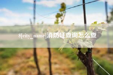 平顶山消防证查询怎么查