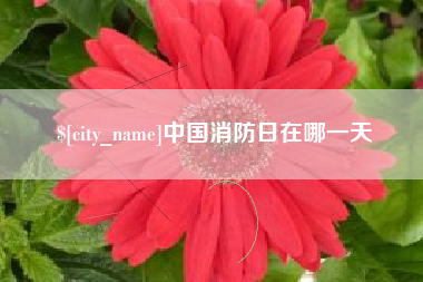 平顶山中国消防日在哪一天