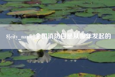 平顶山全国消防日是从哪年发起的