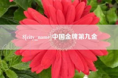 平顶山中国金牌第九金