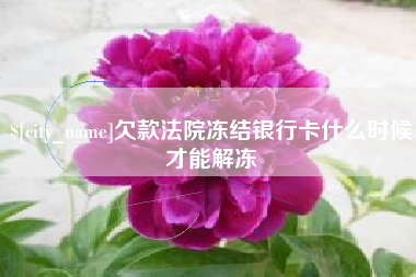 平顶山欠款法院冻结银行卡什么时候才能解冻