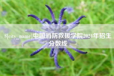 平顶山中国消防救援学院2024年招生分数线