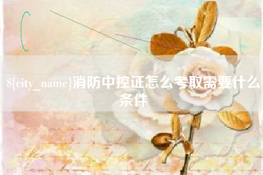 平顶山消防中控证怎么考取需要什么条件