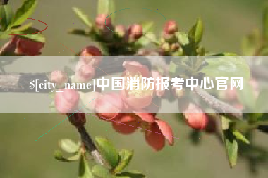 平顶山中国消防报考中心官网