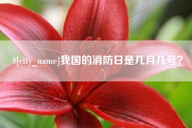 平顶山我国的消防日是几月几号？