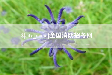 平顶山全国消防招考网