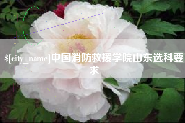 平顶山中国消防救援学院山东选科要求