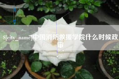 平顶山中国消防救援学院什么时候政审