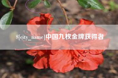平顶山中国九枚金牌获得者