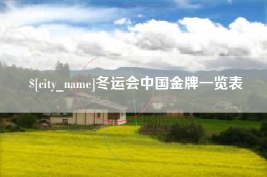 平顶山冬运会中国金牌一览表
