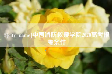 平顶山中国消防救援学院2020高考报考条件