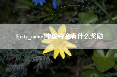 平顶山中国夺金有什么奖励