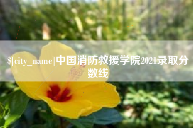 平顶山中国消防救援学院2021录取分数线
