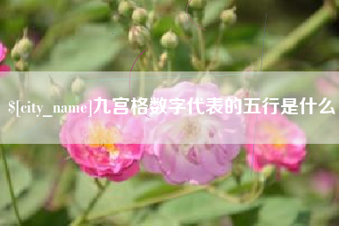 平顶山九宫格数字代表的五行是什么