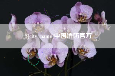 平顶山中国消防官方