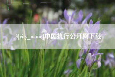 平顶山中国执行公开网下载