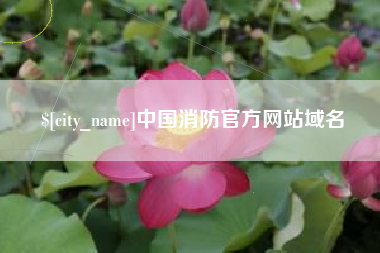 平顶山中国消防官方网站域名