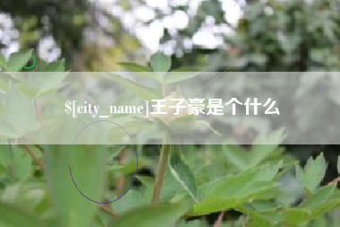 平顶山王子豪是个什么