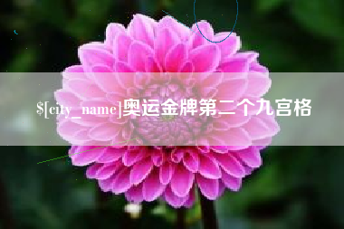 平顶山奥运金牌第二个九宫格