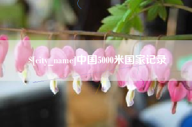 平顶山中国5000米国家记录