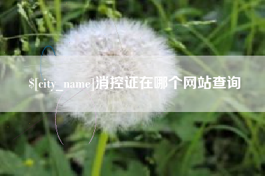平顶山消控证在哪个网站查询