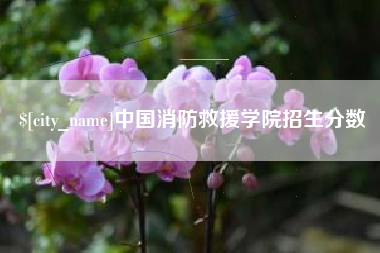 平顶山中国消防救援学院招生分数