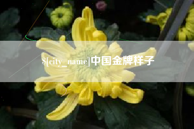 平顶山中国金牌样子