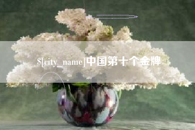 平顶山中国第十个金牌