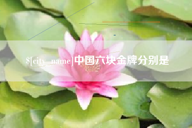 平顶山中国六块金牌分别是