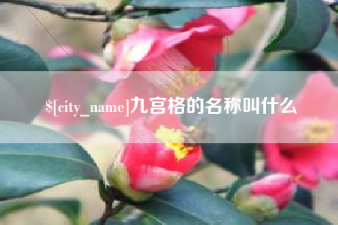 平顶山九宫格的名称叫什么