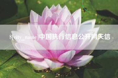 平顶山中国执行信息公开网失信