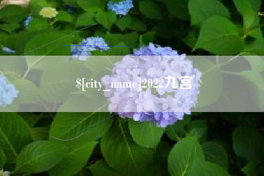 平顶山2022九宫