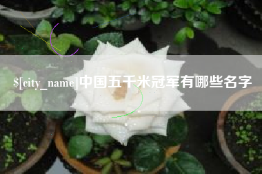 平顶山中国五千米冠军有哪些名字