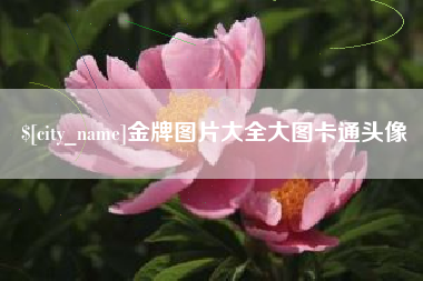 平顶山金牌图片大全大图卡通头像
