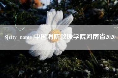 平顶山中国消防救援学院河南省2020